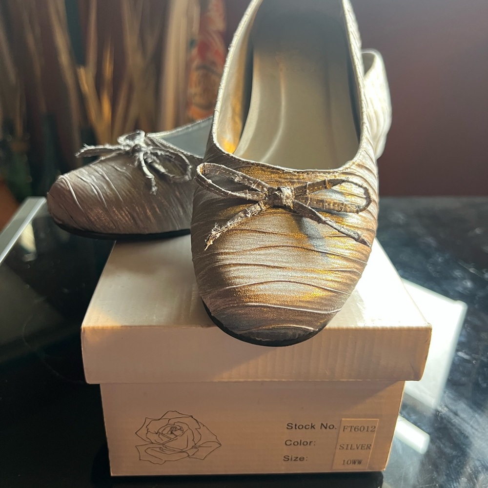 Elegant Silver Women's Shoes